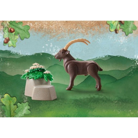 Capra Ibex